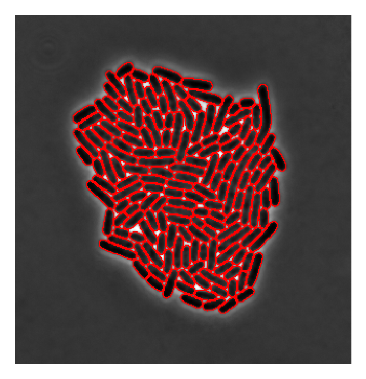 _images/58568acf13a0f28f347687bb00041b01dc2cae9a9cd6df7603c0b055b185cc46.png